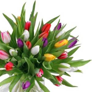 Alles Liebe zum Weltfrauentag!